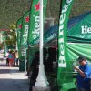 25 Heineken Regatta